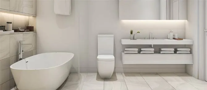 Toilet Installation